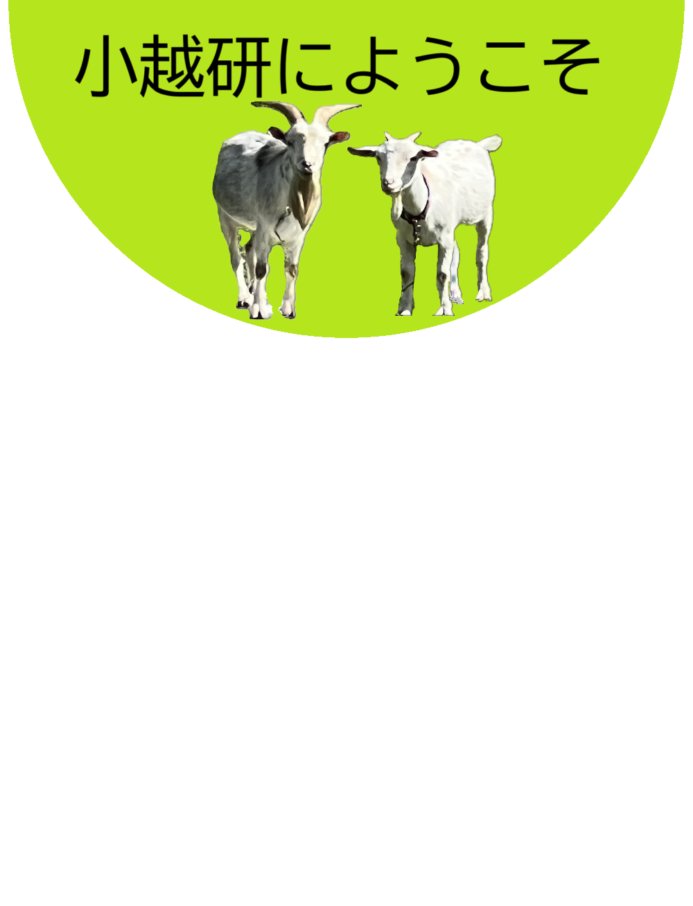 Main Logo